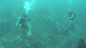 Exercise TRADEWINDS 19