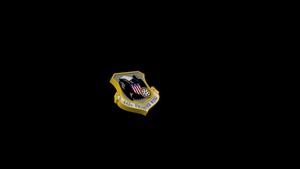 442d Fighter Wing 3D Animated Logo