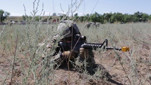 B-Roll Steppe Eagle 19 4
