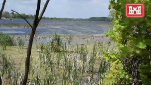 GLRI Braddock Bay Ecological Restoration Project withstands high Lake Ontario levels