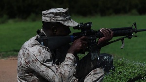 Bravo and Papa Company Range