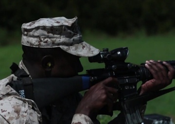 Bravo and Papa Company Range