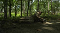 2019 U.S. Army Reserve Best Warrior Competition