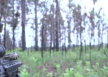 2nd Marine Division Squad Comp. Squad Ambush and Attacks