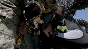 Sea Breeze 2019 Diving Operations (DoD)