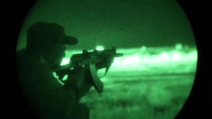 Iraq-Coalition Training