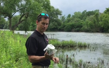 Beetles Released as Invasive Species Control at Seneca Bluffs Project