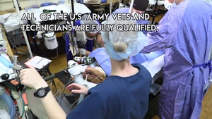 Vet services at Healthy Cortland