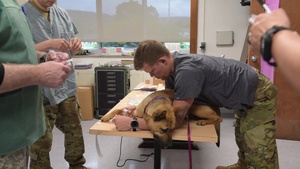 Joint Forces Provide No-Cost Medical Care During New York IRT