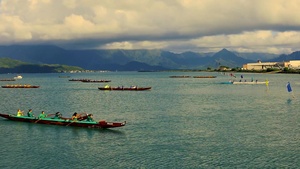 Stroke by stroke through Kaneohe Bay