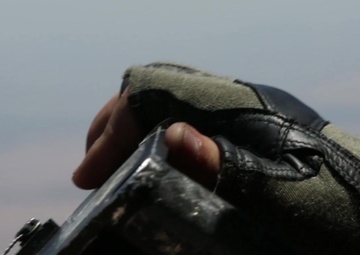 Vipers and Venoms of Summer Fury 19 B-ROLL