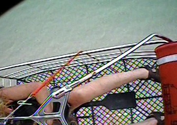 Coast Guard rescues woman, dog from bottom of cliff near Ludington, Mich.