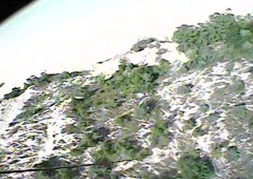 Coast Guard rescues woman, dog from bottom of cliff near Ludington, Mich.