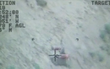 Coast Guard rescues woman, dog from bottom of cliff near Ludington, Mich.