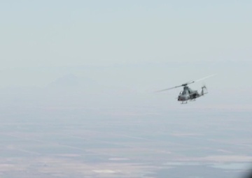 Vipers and Venoms of Summer Fury 19