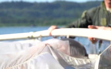 Fighter Pilots Participate in Water Survival Training on Columbia River