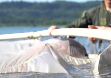 Fighter Pilots Participate in Water Survival Training on Columbia River