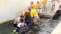 Soldiers with 511th Engineer Dive Detachment Participate in Annual Training Operation (without lower thirds)