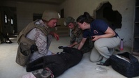 MARSOC canine handlers share tactics, techniques during joint training