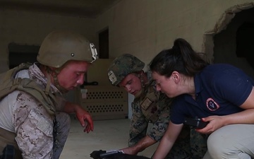 MARSOC canine handlers share tactics, techniques during joint training