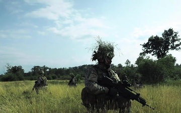 Joint Range Training During Northern Strike 19