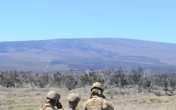 100th Battalion, 442nd Infantry Regiment fire 60mm mortar rounds