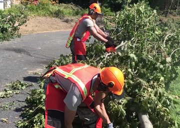 Air National Guard Civil Engineers Mobilize to Assist Tornado Cleanup on Cape Cod, Mass. B-Roll