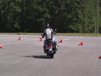 Born to Ride