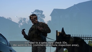 Just one day: life as an MWD handler