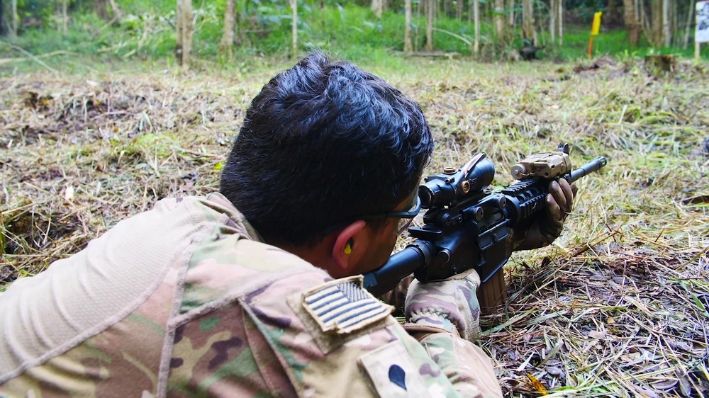 DVIDS - Video - Exercise Cartwheel 2019: Range B-Roll