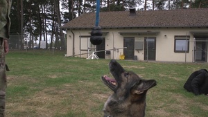 Military Working Dogs Spangdahlem AB, Germany