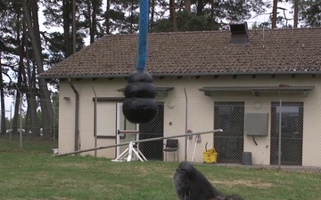 Military Working Dogs Spangdahlem AB, Germany