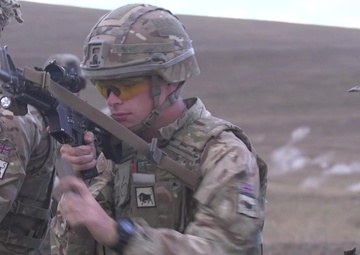 Agile Spirit 19: U.S. Marines and U.K. Army weapons cross training