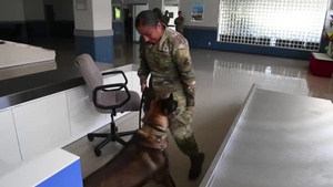 AFN Pacific Spotlight - SSgt Kaithlyn Guerrero, Military Working Dog Handler