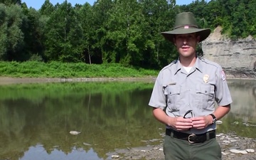 USACE Buffalo CO and Rangers Conduct Plant Survey in Genesee River