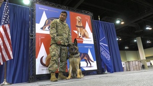 Military Working Dogs Stamp