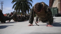 Martial Arts Instructor Course: Week 1