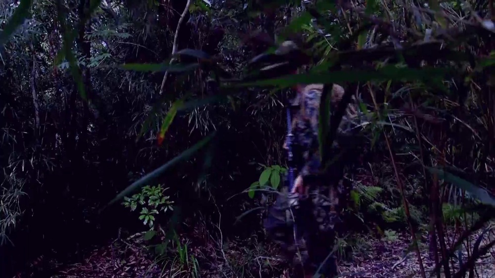 DVIDS - Video - The Basic Jungle Skills Course (BJSC) Video Package