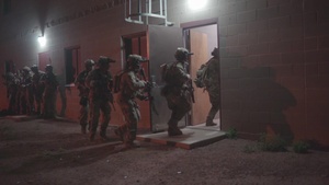 Air Force TACP