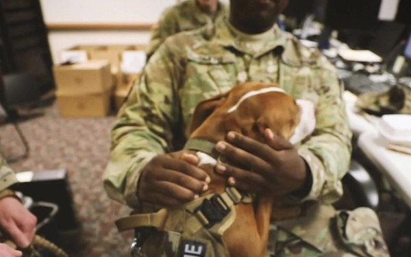 The New Jersey National Guard's New Therapy Dog Ace Visits with Soldiers