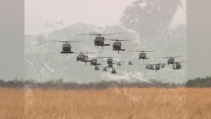 101st Airborne Division (Air Assault) Birthday