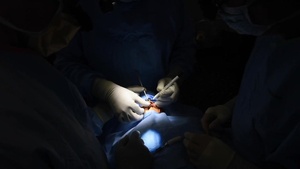 Providing Comfort: Fixing a Cleft Palate