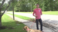 Summer Safety