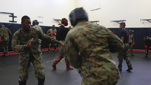 Martial Arts Instructor Course: Week 2