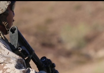 MWD Live Fire Training