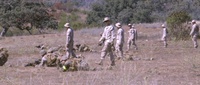 Magnificiant Bastards conduct Bastard FEX III
