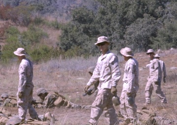 Magnificiant Bastards conduct Bastard FEX III