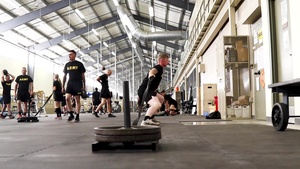Human Performance Optimization Program