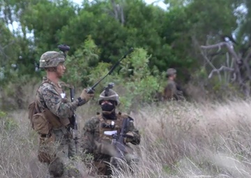 31st MEU Marines execute simulated boat raid on Stone Island during Talisman Sabre 2019 (B-Roll)