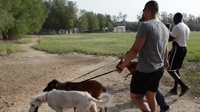 2nd Chance Rescue-Dog Shelter